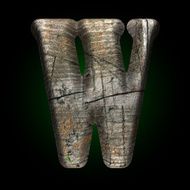 Vector wooden figure N14