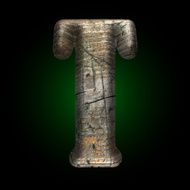 Vector wooden figure N17