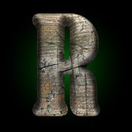 Vector wooden figure N19