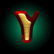 vector velvet letter with gold N13