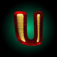 vector velvet letter with gold N17