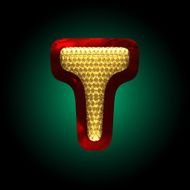 vector velvet letter with gold N18