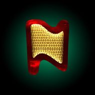 vector velvet letter with gold N24