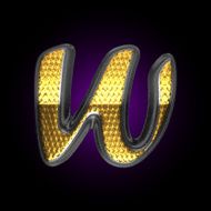 vector silver figure with gold N13