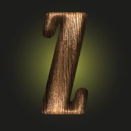 Vector wooden figure N67