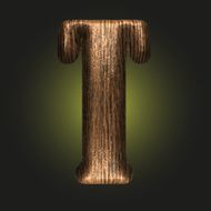 Vector wooden figure N71