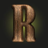 Vector wooden figure N72
