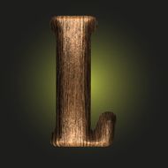 Vector wooden figure N75