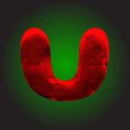 vector red clay figure N6
