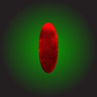 vector red clay figure N18