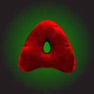 vector red clay figure N26