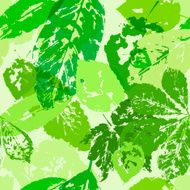 Green foliage N2