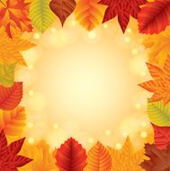 Autumn leaves vector frame
