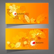autumn leaves N134