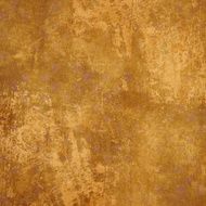 Grunge Background N238