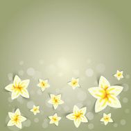cute spring illustration background