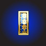 vector golden figure N211