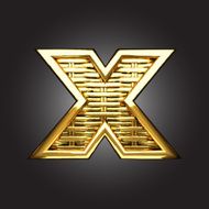 Vector golden figure x N2