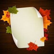 vector autumn background N19