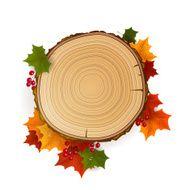 Vector Autumn Background with Leafs N2
