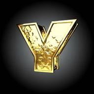 Vector golden figure y N3