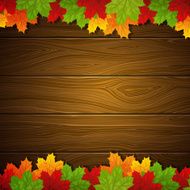 vector autumn background N20