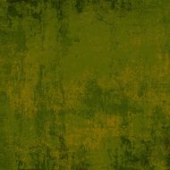Grunge Background N918