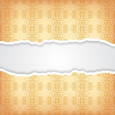 Vintage background N312