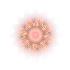 Vector flower Eps10