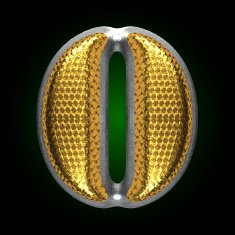 vector silver figure with gold o
