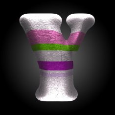 vector colored clay letter y N5