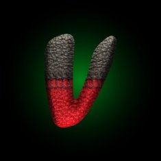 vector wool letter N11
