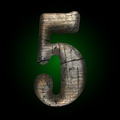 Vector wooden figure N5