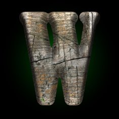 Vector wooden figure N14