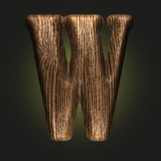Vector wooden figure N69
