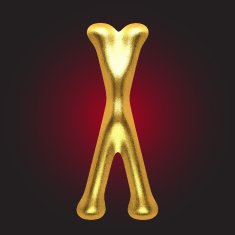 vector golden figure N85