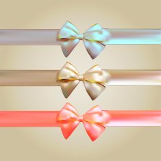 Colorful Silk Ribbon with Bow Set N2