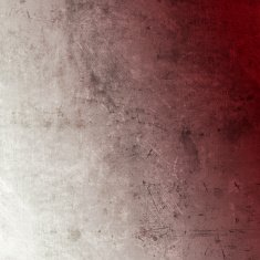 Grunge Background N669