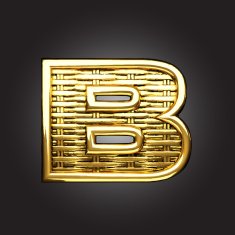 Vector golden figure b N2