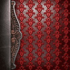 metal on red background N45