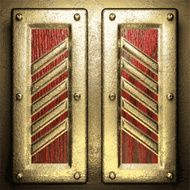 gold and wood background N337