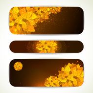 Three autumn banners with colorful leaves