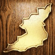 golden and wood background N49