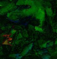 Abstract background nature painting N213