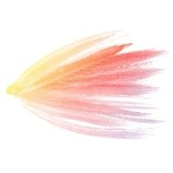 Colorful water color painting background N52
