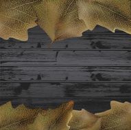 leaves frame N14