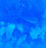 Abstract Watercolor nature painting N744
