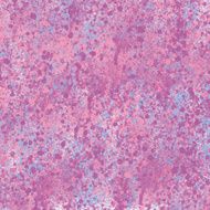Colorful water color painting background N62