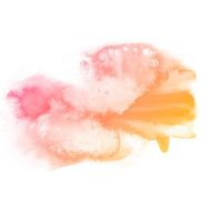 Colorful water color painting background N65