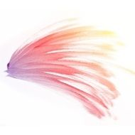 colorful Abstract water color painting background N30